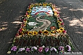 VBS_9767 - Infiorata Santuario della Madonnina di Villanova d'Asti 2024